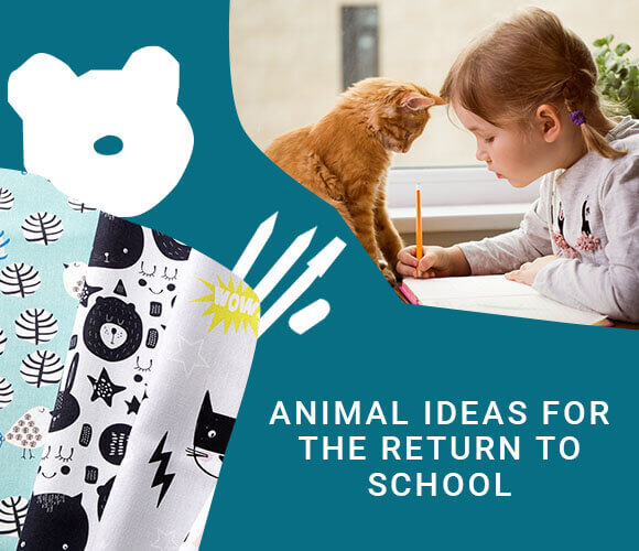 Back to school - Animal ideas - buy online » 